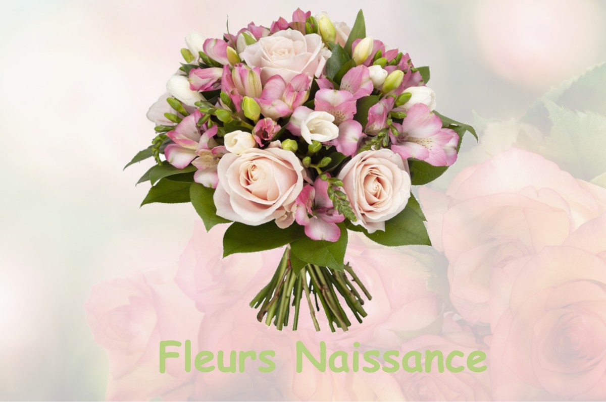 fleurs naissance LA-FERTE-SAINT-SAMSON